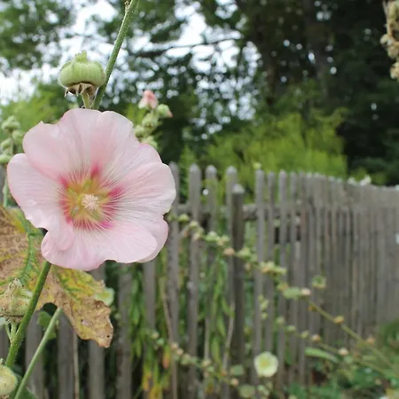 Gaestezimmer Gier Panzió 3*