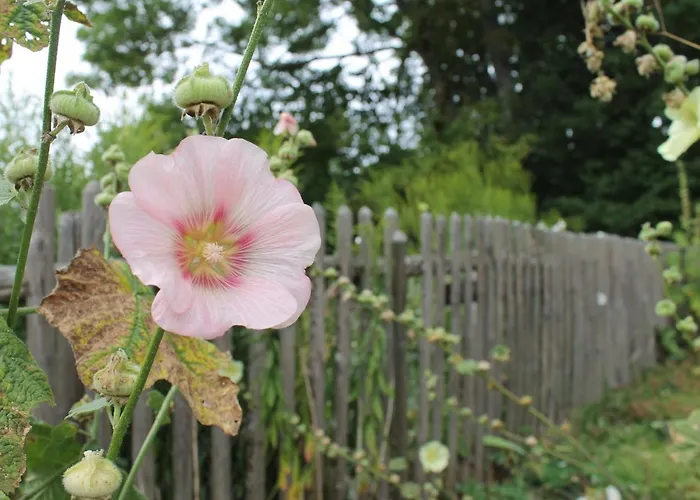 Gaestezimmer Gier Bed and breakfast 3*