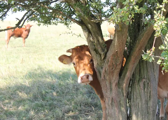 Gaestezimmer Gier 3*